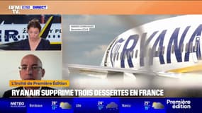 Suppression de trois dessertes de Ryanair: "Ce sont 750.000 sièges qui seront supprimés cet hiver", déplore Thomas Juin, président de l'Union de l'aviation française