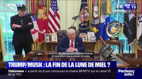 "Une abomination répugnante": Le torchon brûle entre Elon Musk et Donald Trump après les critiques de l'ex-conseiller spécial sur le mégaprojet de loi budgétaire