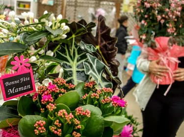 Des gens achetant des fleurs pour la fête des mères, le 29 mai 2016 à Godewaersvelde, dans le nord de la France. 
