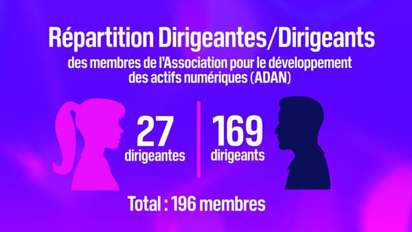 Sur les 196 membre de l'Association pour le développement des actifs numériques (ADAN) en octobre 2022, seulement 27 sociétés sont dirigées par des femmes.