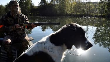 Un chasseur et son chien - Image d'illustration