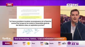 Reconnaissance de l'État de Palestine: pour le Rassemblement National, c'est une décision "extrêmement dangereuse"