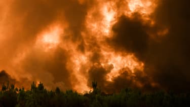 Des flammes ravagent des arbres lors d'un incendie de forêt près de Belin-Beliet en Gironde, dans le sud-ouest de la France, le 10 août 2022.
