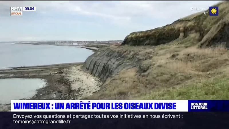 Wimereux: un arrêté pour protéger certaines espèces d'oiseaux provoque la colère des parapentistes