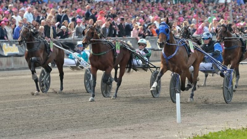 L'Elitloppet se disputera ce dimanche 31 mai à huis clos