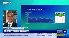 Le journal des Small et Mid Caps : Les IPO reprennent - 03/12