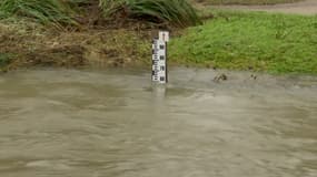 Le niveau des cours d'eau est scruté dans le Pas-de-Calais face à un risque de nouvelles inondations.