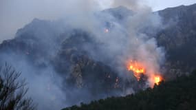 Un incendie en Corse. (photo d'illustration)