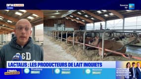 En Alsace, plusieurs producteurs de lait démunis après l'annonce d'une réduction des collectes de Lactalis 