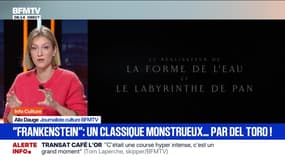 "Frankenstein" : un classique monstrueux... par Del Toro - 06/11