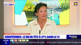 Bouches-du-Rhône: les LR souhaitent "mener le combat" aux législatives