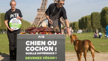 Des militants de l'organisation Peta ont organisé une action promouvant le véganisme ce vendredi 23 août 2019, face à la Tour Eiffel.