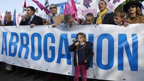 Des participants à la Manif pour Tous, à Paris, ce dimanche 16 octobre.