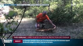 "Une activité qui doit disparaître le plus rapidement possible", la chasse à la glu reste une méthode controversée