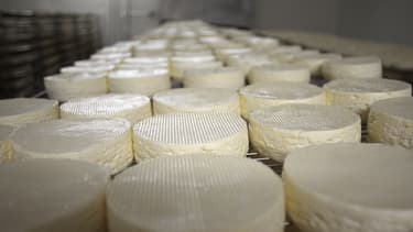 Des camemberts dans une coopérative d'Isigny-sur-Mer, dans le nord-ouest de la France, le 4 avril 2014. (Photo d'illustration)