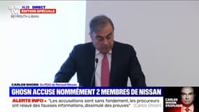 Carlos Ghosn: "ll y avait présomption de culpabilité depuis le début"