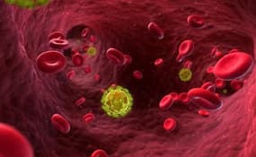 Cellules infectées par le virus du VIH.
