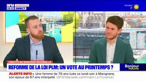 Réforme de la loi PLM: vers des soupçons de "manœuvre électorale"?