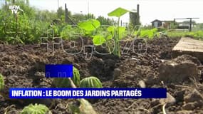 Inflation : le boom des jardins partagés - 13/05