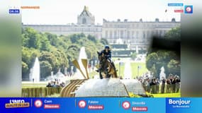 Triton Fontaine, cheval médaillé d'argent aux JO 2024 pur produit des écuries du Lieu Féral 