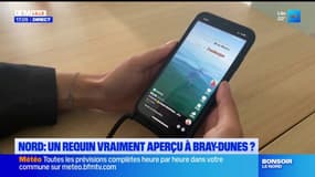Nord: un requin a-t-il réellement été aperçu au large de Bray-Dunes?