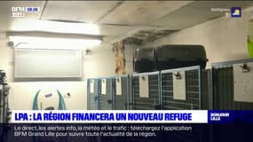 Roubaix: la région promet des aides pour la construction d'un nouveau refuge de la LPA