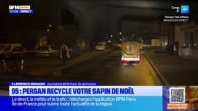 Persan: une nouvelle organisation pour collecter les sapins de Noël