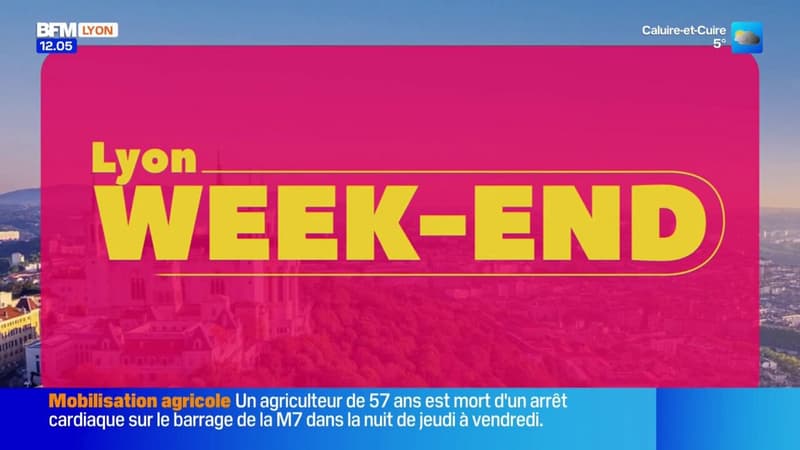Musées des Beaux-Arts, Paul Mirabel, sport ... Découvrez les sorties à faire dans Lyon week-end