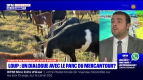 Parc du Mercantour: Sébastien Olharan souhaite autoriser "les tirs de défense" face aux attaques de loups