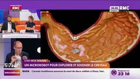 C'est déjà demain - Un microbot pour explorer et soigner le cerveau