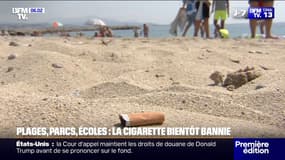 Plages, parcs, abords des écoles... Fumer des cigarettes sera interdit dans tous les lieux "où il y a des enfants" à partir du 1er juillet