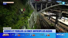 Normandie: la végétation aux abords des rails de certaines gares taillée pour éviter les problèmes