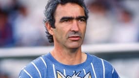 Raymond Domenech