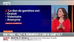 Bioéthique: faut-il rémunérer le don de gamètes en France?