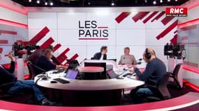 Pesticides, office biodiversité: Annie Genevard dévoile des mesures de simplification