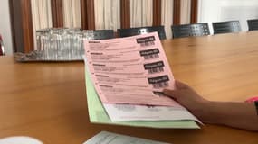 Pour la cinquième année consécutive, la Ville de Roubaix propose aux jeunes, âgés de 3 à 18 ans, des "chèques été" de 50 euros pour pouvoir profiter d'activités estivales