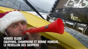 Dauphins, champagne et bonne humeur... le réveillon des skippers du Vendée Globe