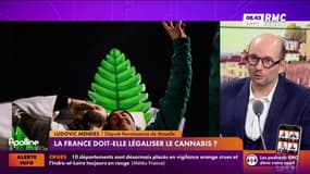 "Toutes ces personnes qui consomment" du cannabis "n'ont pas du sang sur les mains", affirme Ludovic Mendes