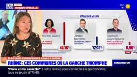 Élections européennes: ces communes du Rhône où la gauche triomphe