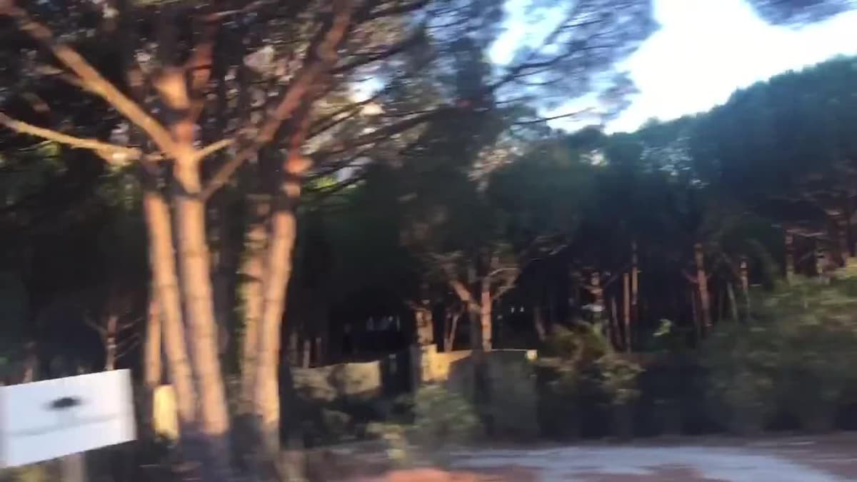 placeholder video