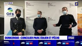 Dunkerque: concilier parc éolien et pêche