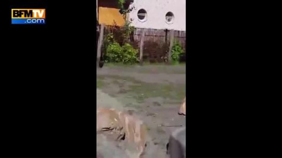 placeholder video