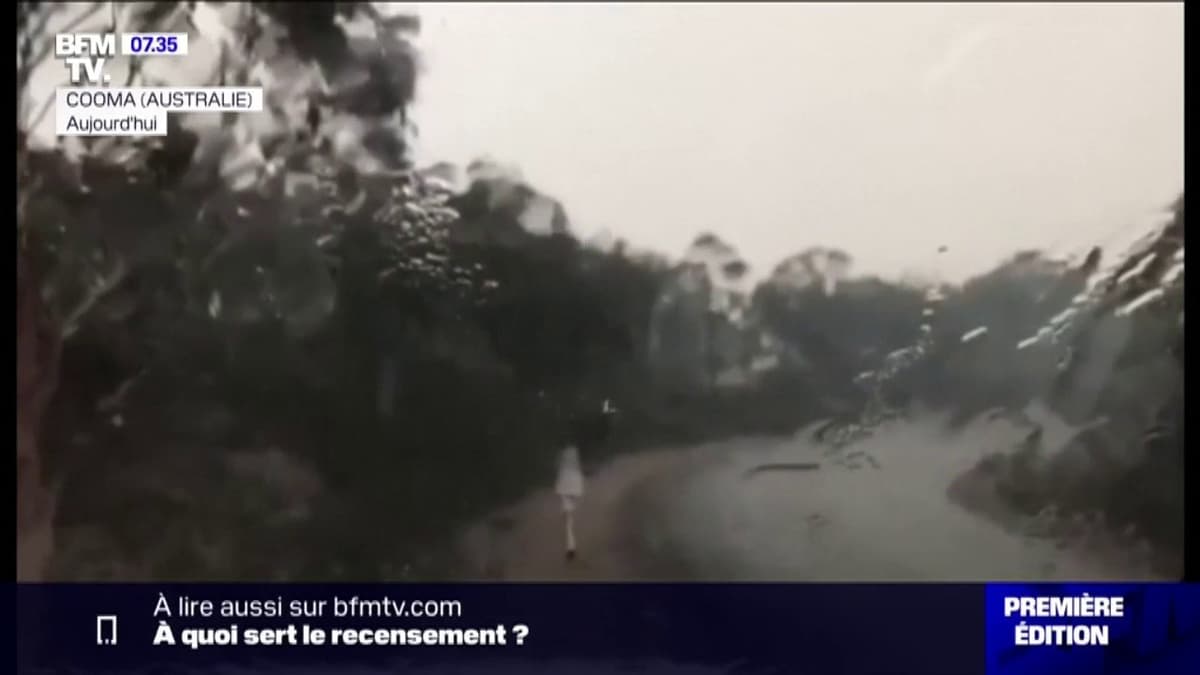 placeholder video