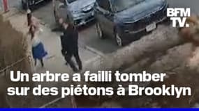  New York: des piétons échappent de peu à la chute d'un arbre 