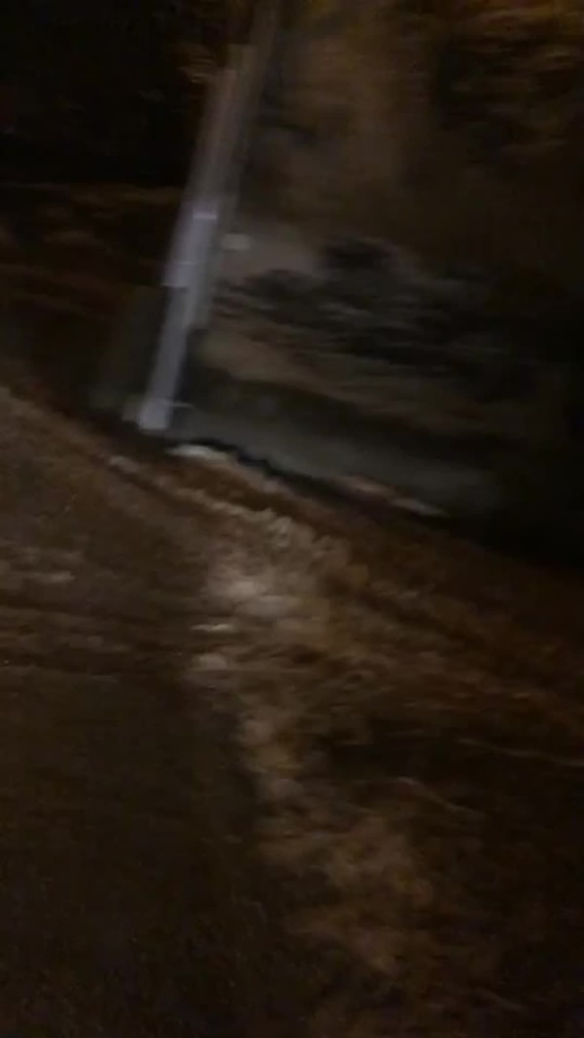 placeholder video