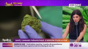 Santé/Cannabis thérapeutique, le ministère étudie la voie