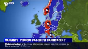 Covid-19: les pays européens discutent pour harmoniser les contrôles aux frontières au sein de l'espace Schengen