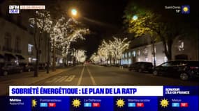 Paris: des décorations de Noël lumineuses qui divisent dans le 8e arrondissement
