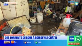 Orage dans l'Eure: des torrents de boue à Boissey-le-Châtel