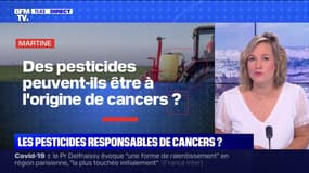 Les pesticides peuvent-ils être à l'origine de cancers ? BFMTV répond à vos questions